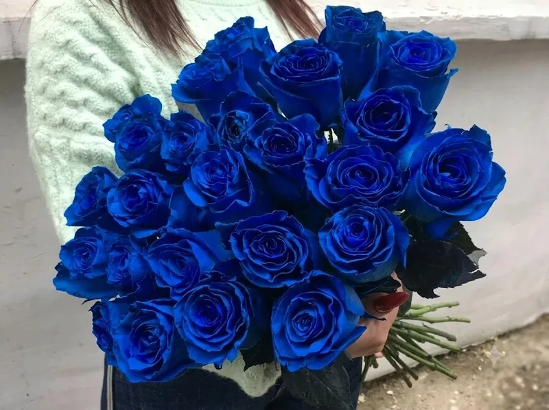 Hoa hồng xanh tượng trưng cho tình yêu đặc biệt và khó quên